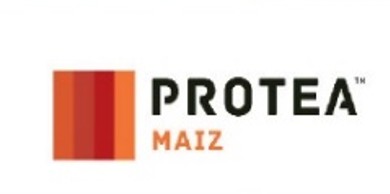 PROTEA Maíz